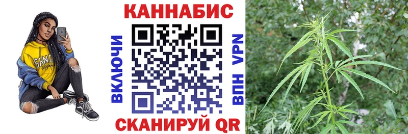 как найти наркотики  Шуя  МАРИХУАНА White Widow 